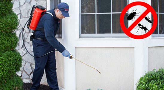 Güneysınır Böcek İlaçlama böcek ilaçlama ve haşere kontrolü — ilaclama-tr.com